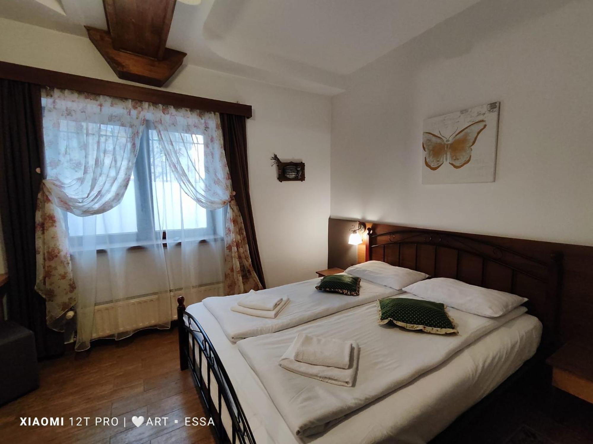 Pensiunea Buon Gusto 3* Sibiu